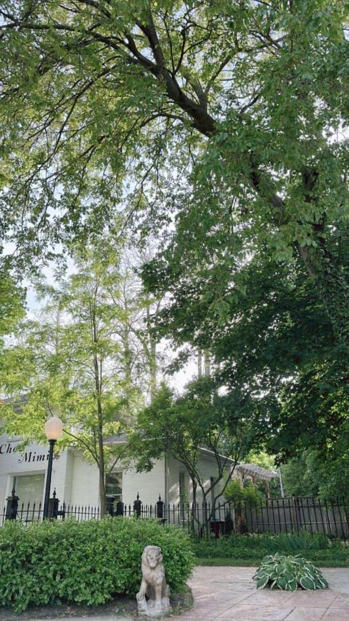 The Ginkgo Tree Mount Pleasant Exterior foto