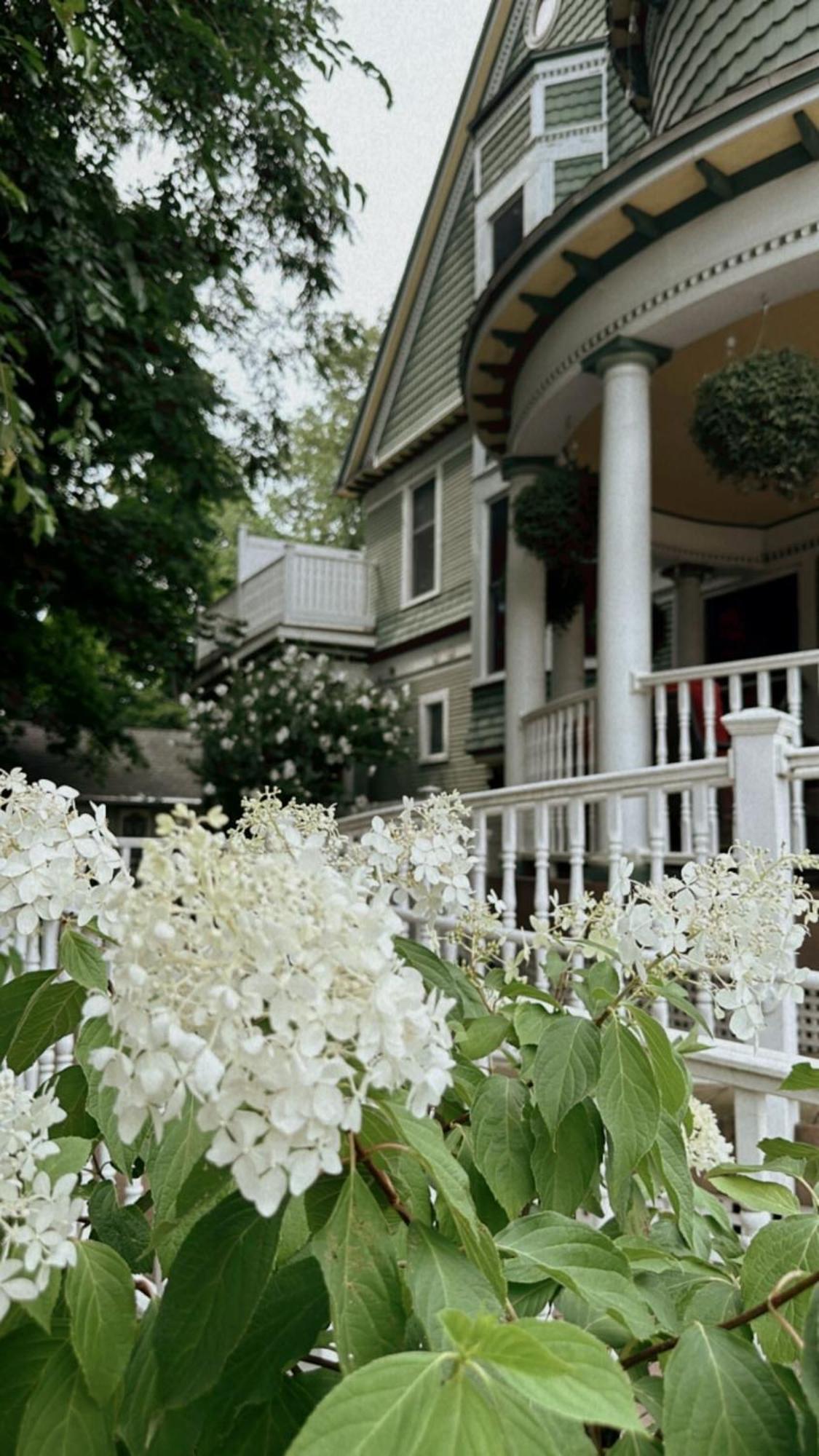 The Ginkgo Tree Mount Pleasant Exterior foto